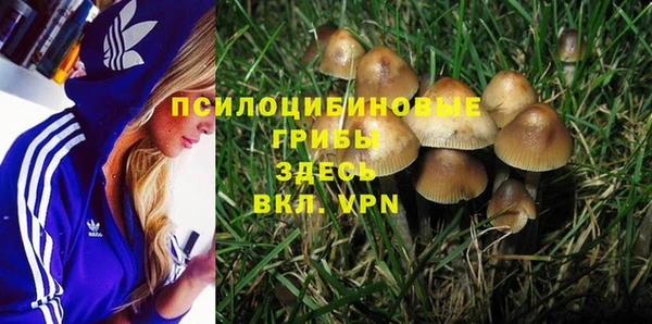 спиды Елизово