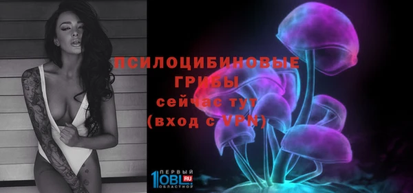 спиды Елизово