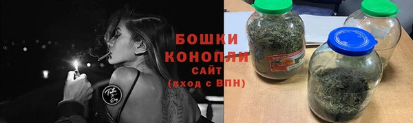 ALPHA PVP Ельня