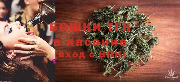 ALPHA PVP Ельня