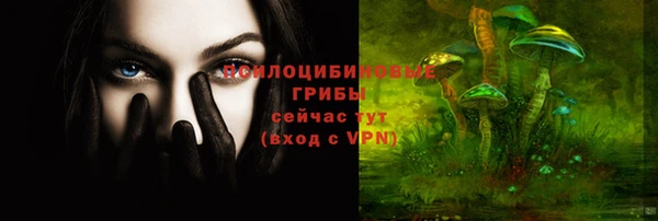 эйфоретик Елабуга