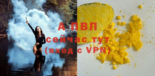 спиды Елизово