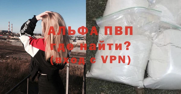 спиды Елизово