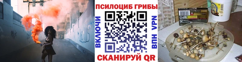 Галлюциногенные грибы Cubensis Звенигород
