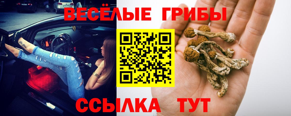 Галлюциногенные грибы GOLDEN TEACHER Звенигород