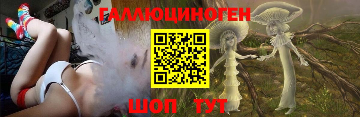 Звенигород  Галлюциногенные грибы Psilocybe  Псилоцибиновые грибы MAGIC MUSHROOMS  Вход с VPN 